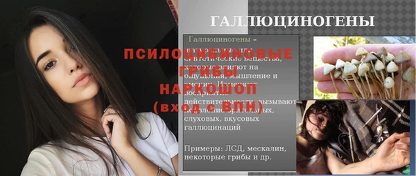 соль ск Верхнеуральск